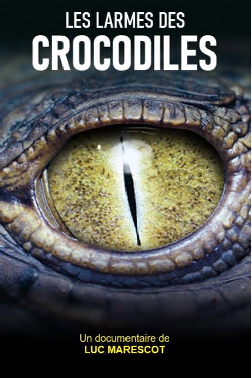 Les larmes des crocodiles (2012) poster