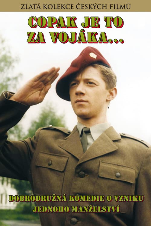 Copak je to za vojáka... (1988) poster