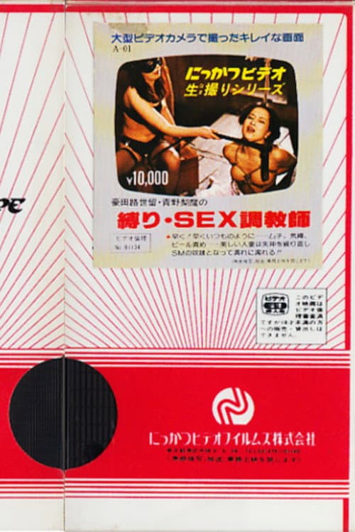豪田路世留・青野梨魔の　縛り・SEX調教師 (1981) poster