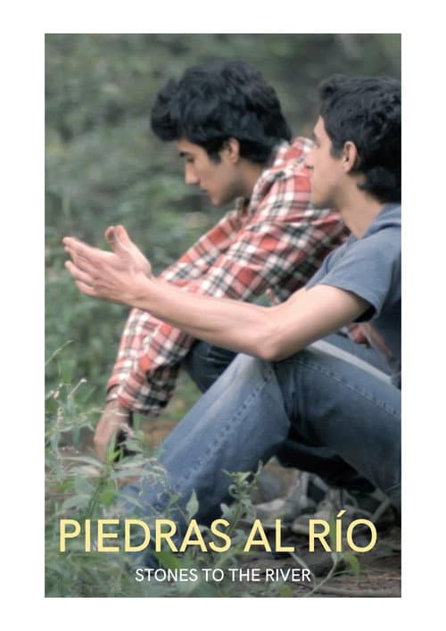 Piedras al Río (2012) poster