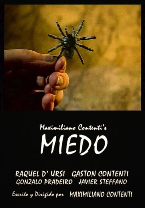 Miedo (2001) poster