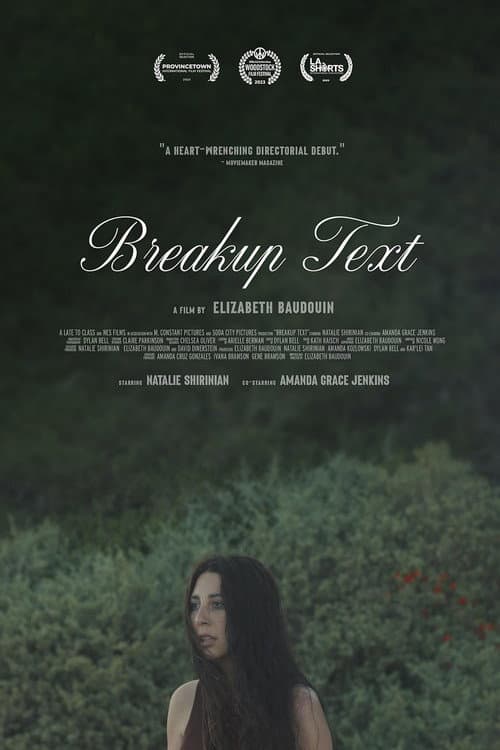 Breakup Text (2023) poster
