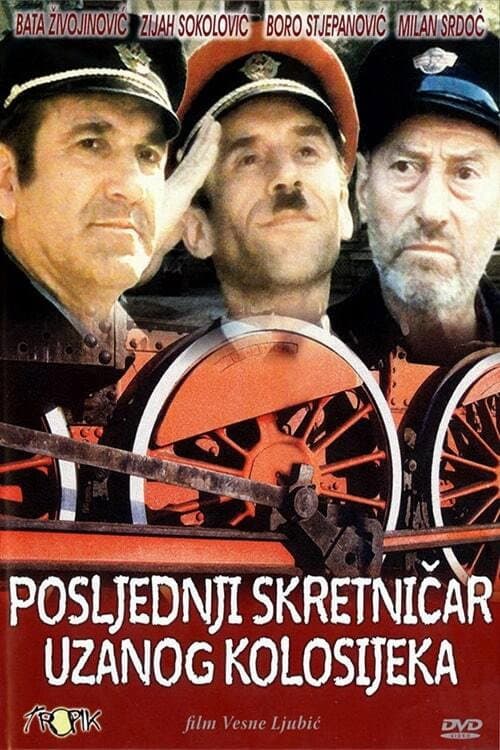 Posljednji skretničar uzanog kolosijeka (1986) poster