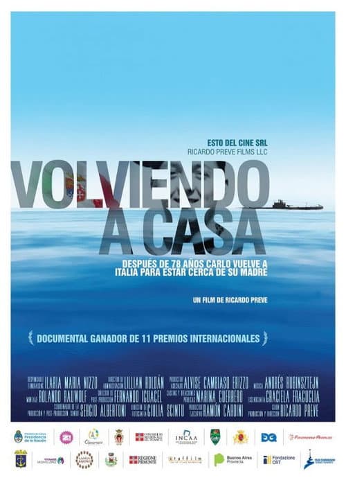 Volviendo a casa (2019) poster