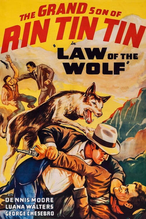 Law of the Wolf (1939) poster