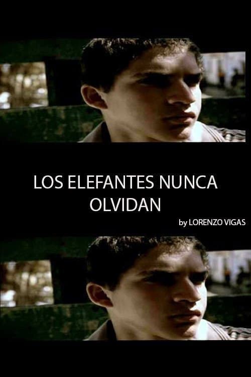 Los Elefantes Nunca Olvidan (2004) poster