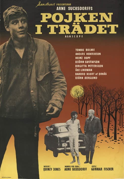 Pojken i trädet (1961) poster