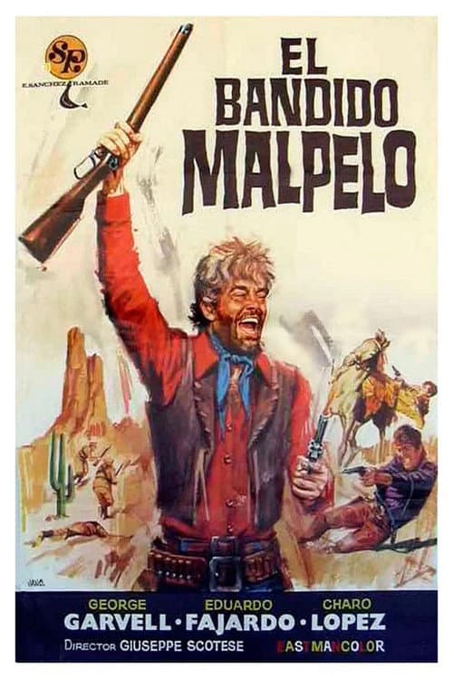 Il lungo giorno della violenza (1971) poster