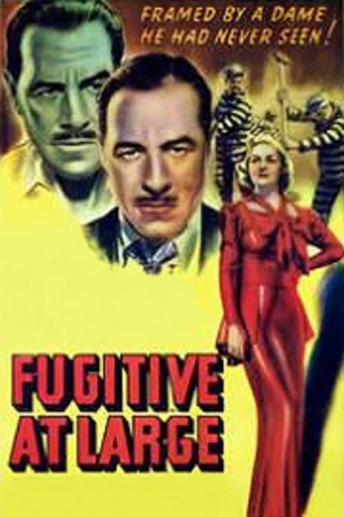 Fugitive at Large (1939) poster
