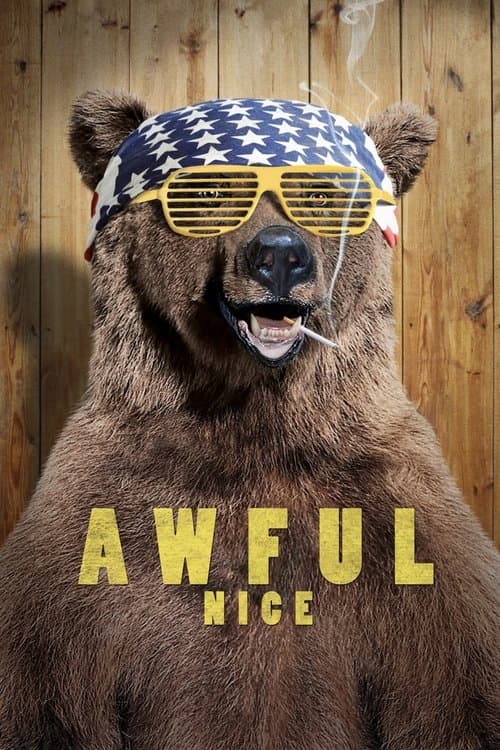Awful Nice (2013) poster