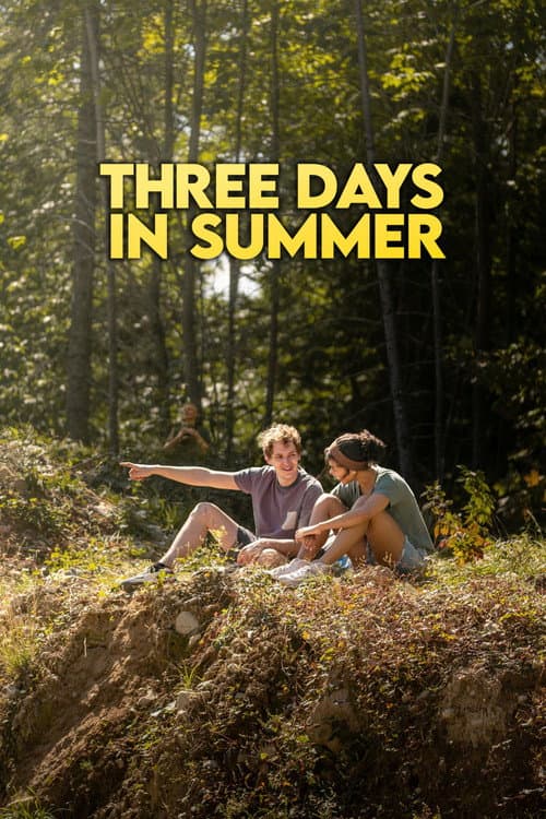 Three Days in Summer (2026) poster