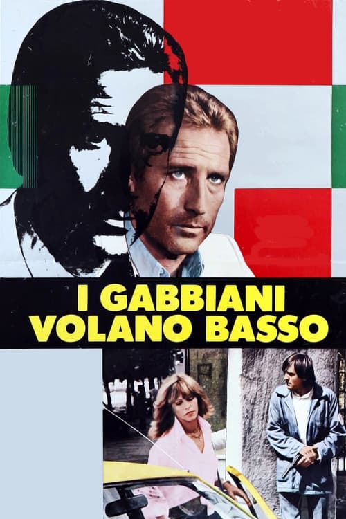 I gabbiani volano basso (1978) poster
