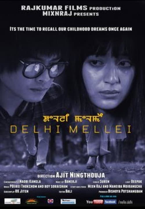 Delhi Mellei (2014) poster