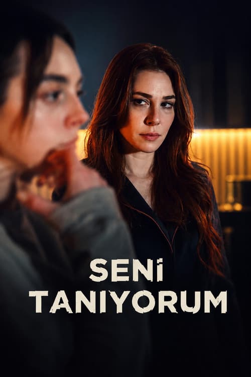 Seni Tanıyorum (2026) poster