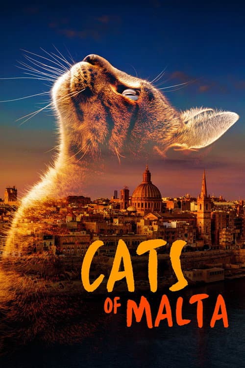 Cats of Malta (2022) poster