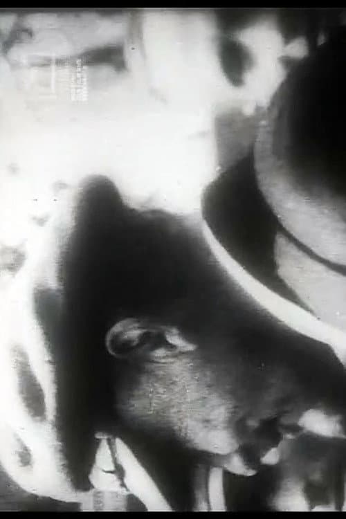 Uns mahnt ein November (1958) poster