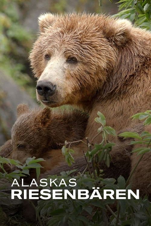 Alaskas Riesenbären (2023) poster