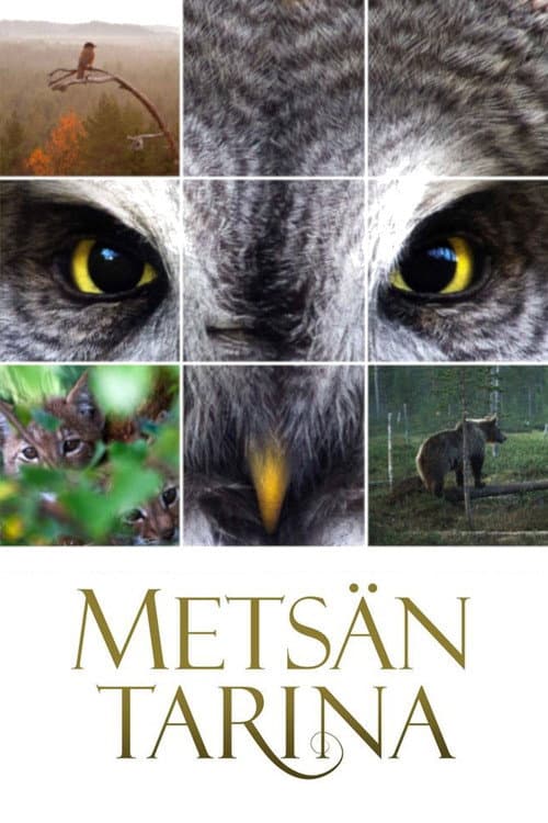 Metsän tarina (2012) poster