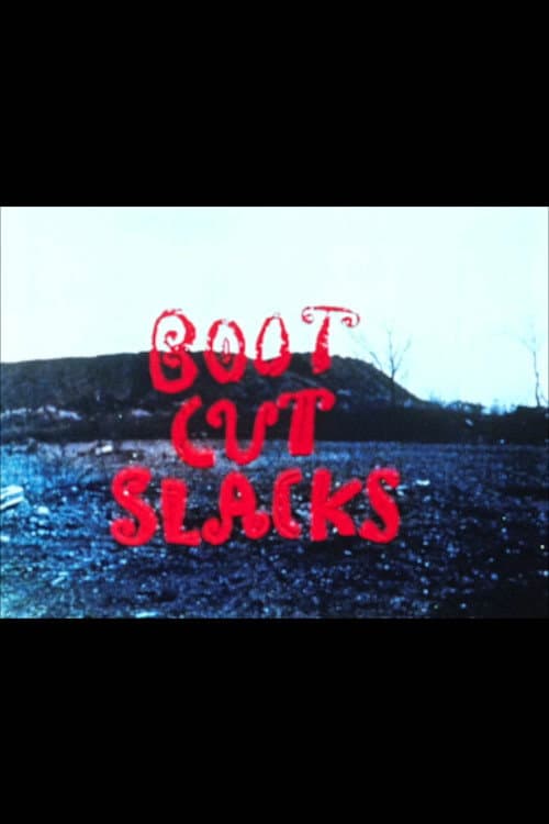 Boot Cut Slacks (1990) poster