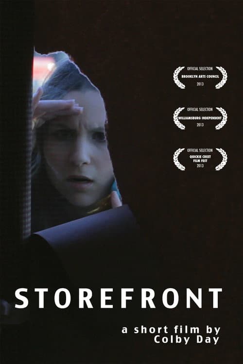 Storefront (2013) poster