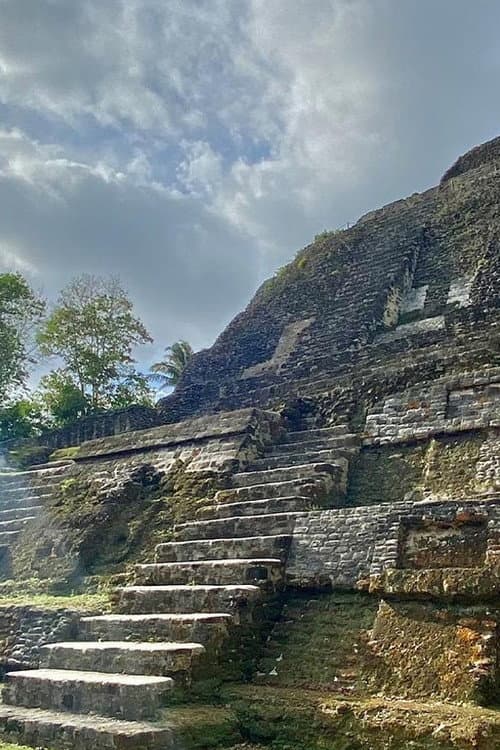 Ancient Maya Metropolis (2022) poster