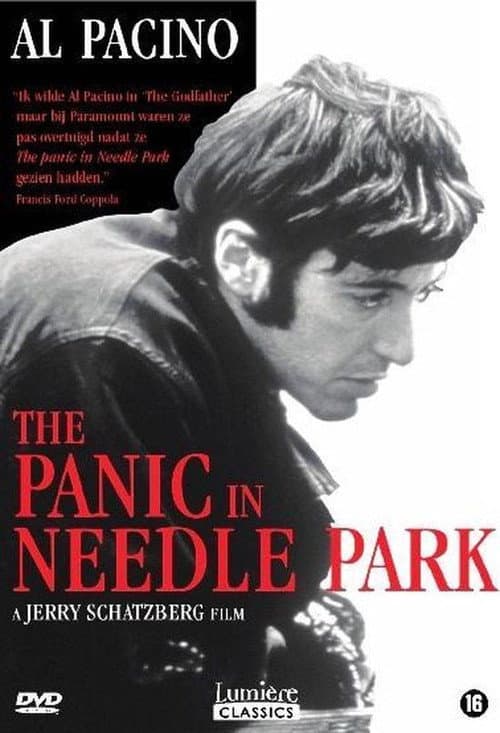 The Panic in Needle Park (1971) poster