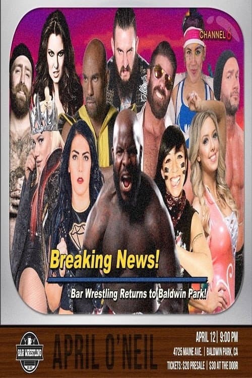Bar Wrestling 11: April O'Neil (2018) poster