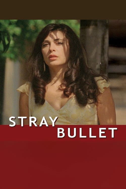 Stray Bullet (2010) poster