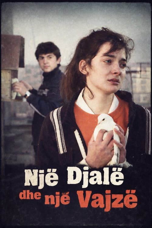 Një djalë edhe një vajzë (1990) poster
