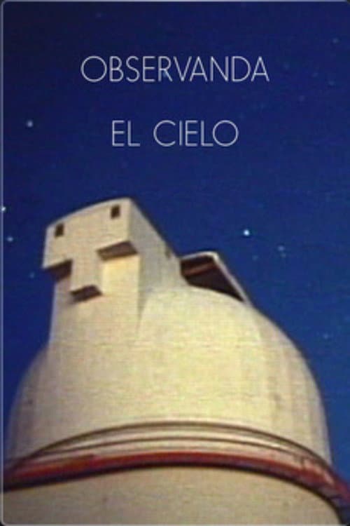 Observando el cielo (2008) poster