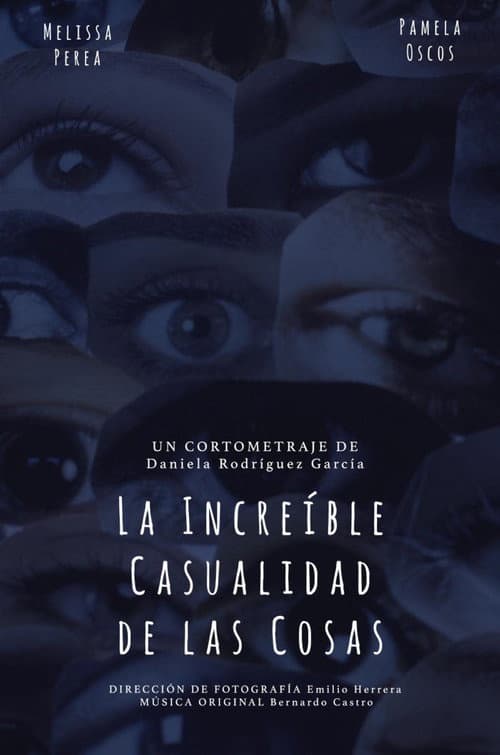 La Increíble Casualidad de las Cosas (2022) poster