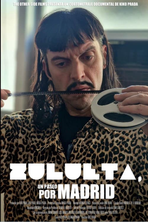 Zulueta, un paseo por Madrid (2024) poster