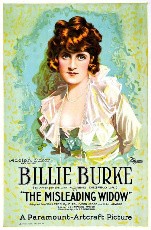 The Misleading Widow (1919) poster