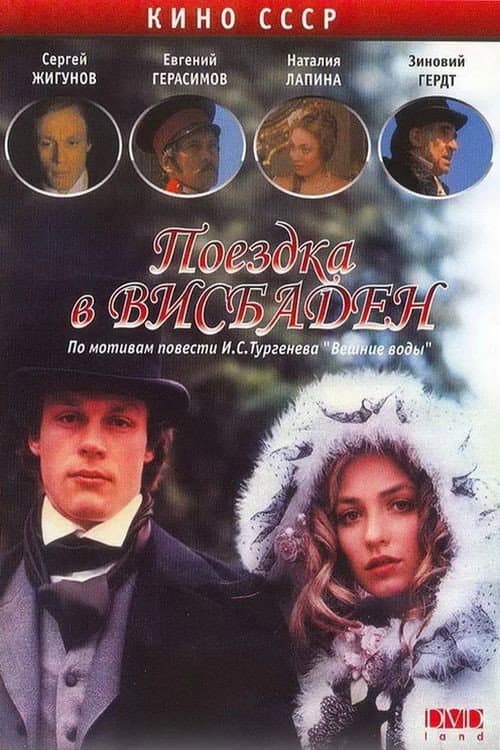 Поездка в Висбаден (1990) poster