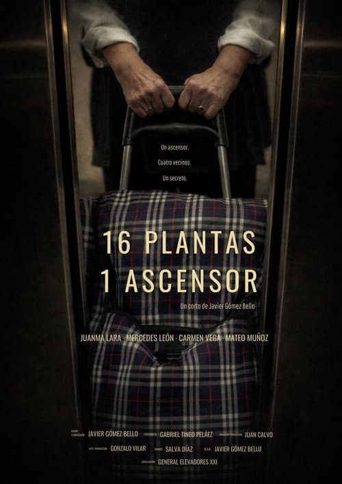 16 Plantas / 1 Ascensor (2026) poster