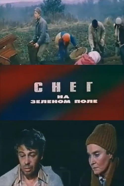 Снег на зелёном поле (1981) poster