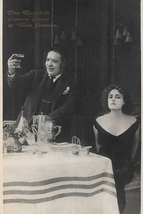 L' ospite sconosciuta (1923) poster