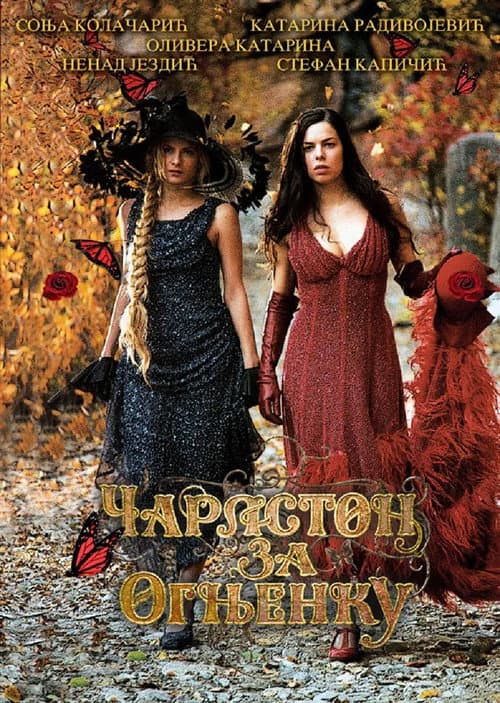 Чарлстон за Огњенку (2008) poster