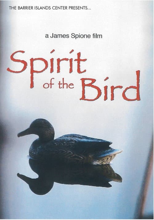 Spirit of the Bird (2012) poster