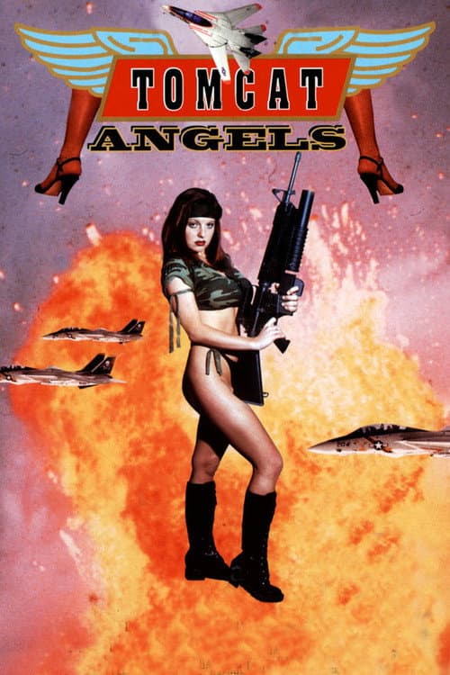 Tomcat Angels (1991) poster