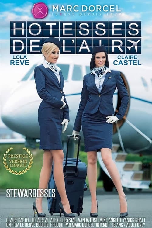Hôtesses de l'Air (2015) poster