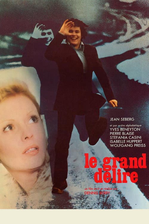 Le grand délire (1975) poster