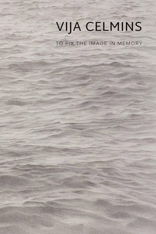 Vija Celmins: To Fix the Image in Memory (2022) poster