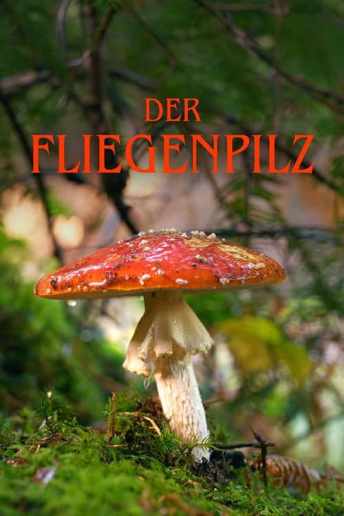 Der Fliegenpilz (2026) poster
