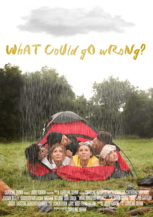 What Could Go Wrong? (2023) poster