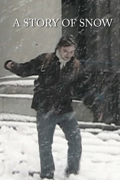 A Story of Snow (2024) poster
