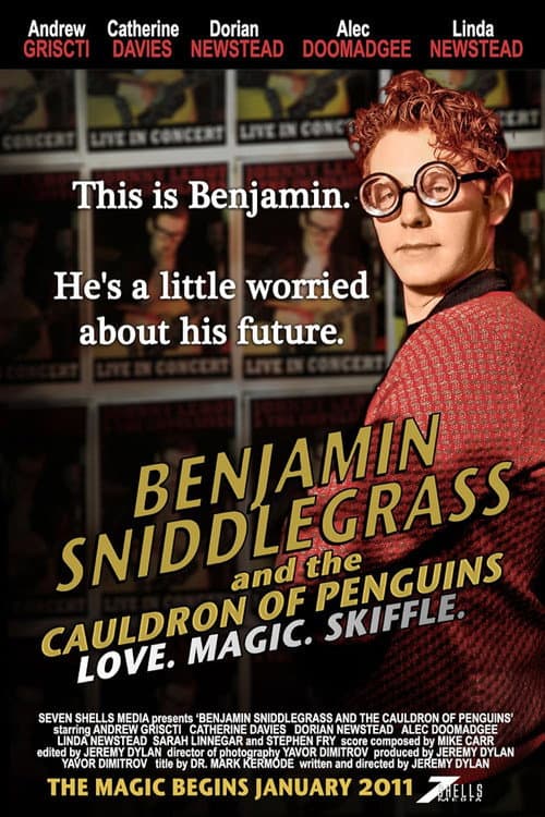 Benjamin Sniddlegrass and The Cauldron of Penguins (2011) poster