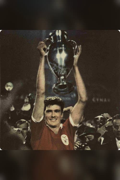 A Conquista da Europa (2011) poster
