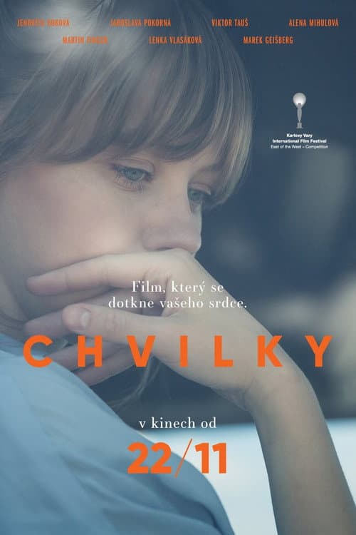 Chvilky (2018) poster