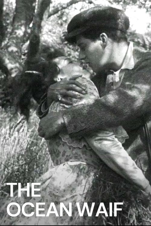 The Ocean Waif (1916) poster